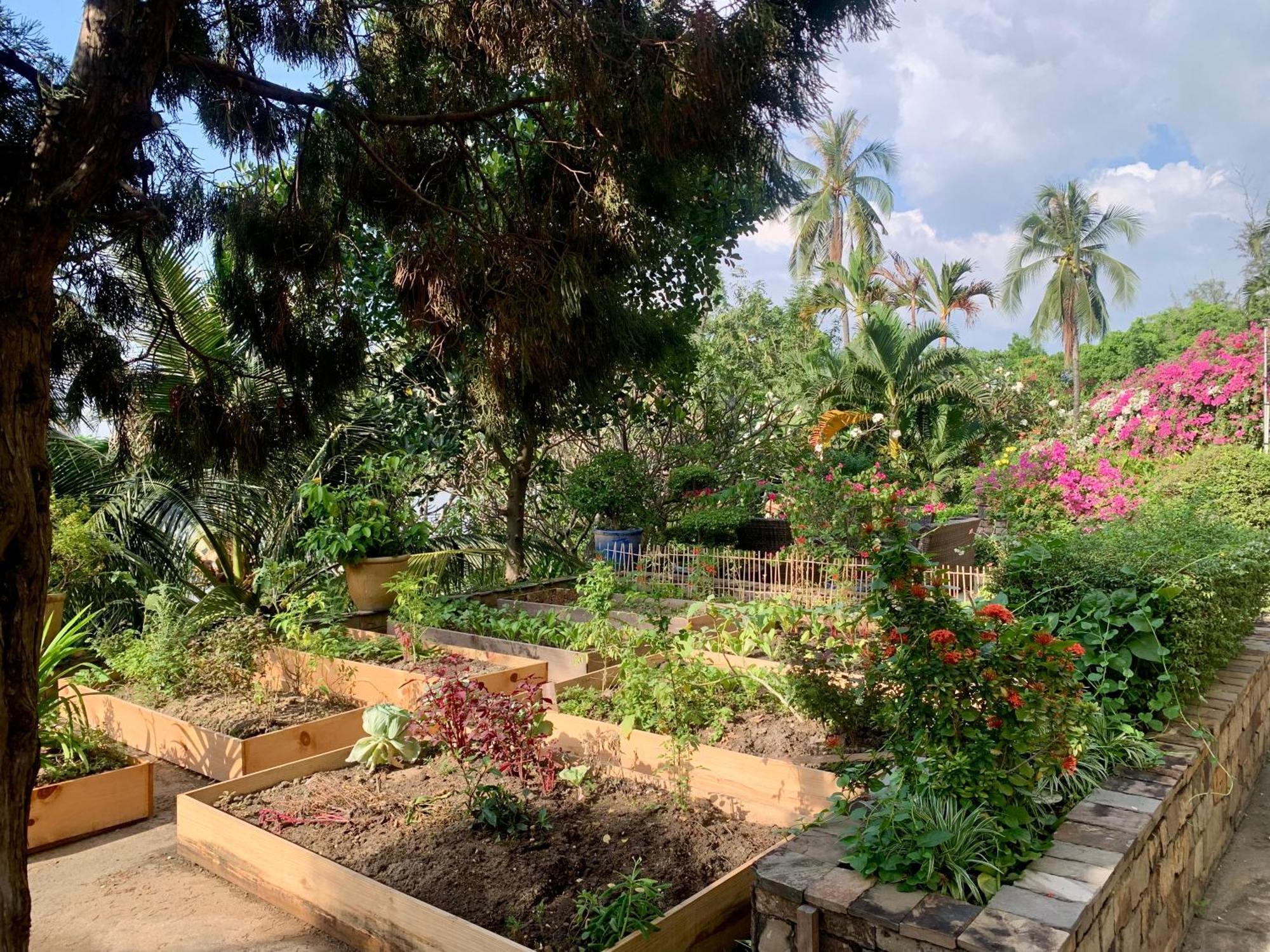 Saigon Domaine Luxury Residences Ho Şi Min Dış mekan fotoğraf